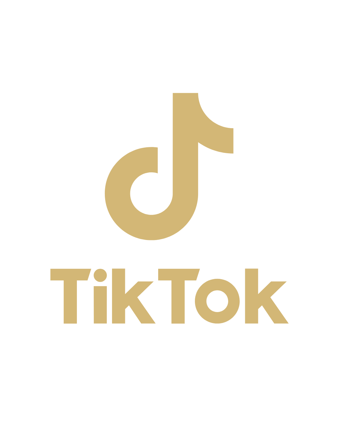 B Noor TikTok logo in gold with the text "TikTok" below it