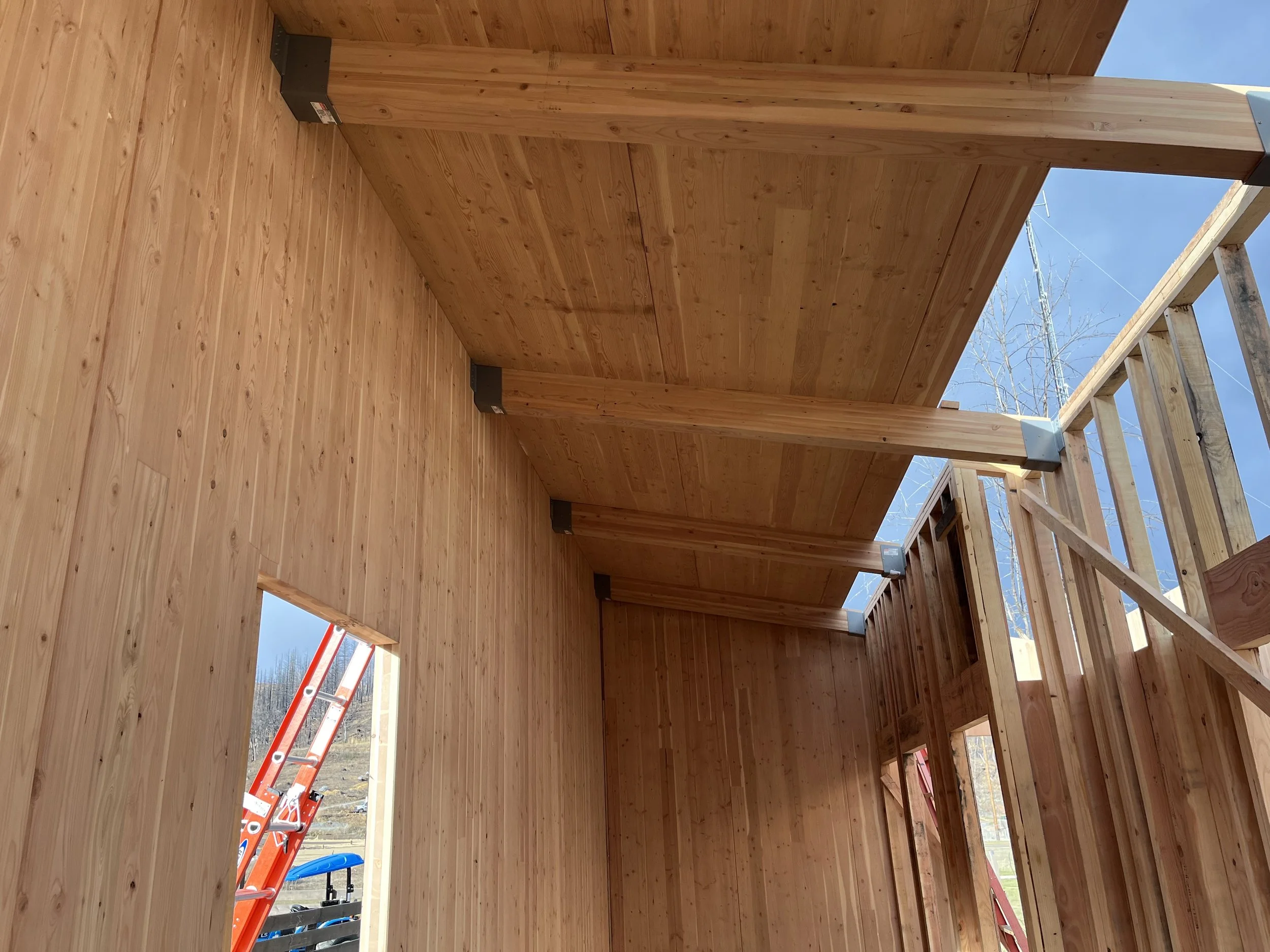 Interior of a CLT building under construction with wooden walls, ceiling, and framing. Ladder is visible outside through an opening in the wall, with a clear sky and some trees in the background.