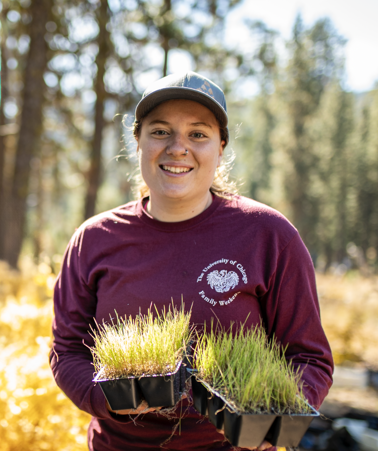 Laurel Hicke, A young woman wearing a maroon sweatshirt with a logo on it and a cap, holding trays of grass seedlings outdoors in a forested area with sunlight filtering through trees.