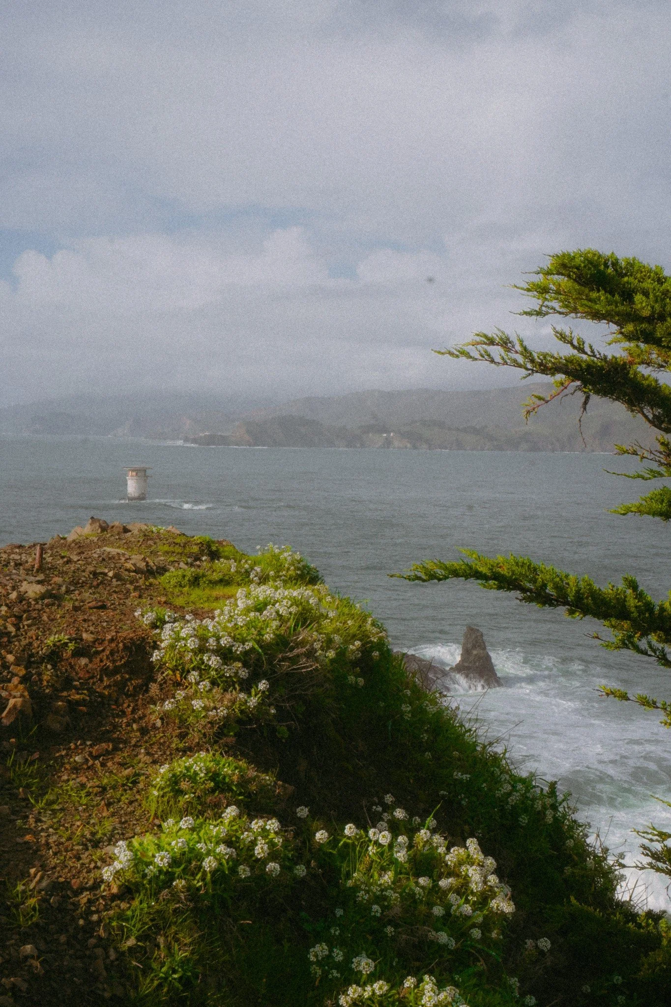 A coastal landscape with rocky terrain, green vegetation, and white flowers in the foreground. The ocean with waves and a large rock is visible, and on the horizon, there are distant hills and a lighthouse or tower. Overcast sky with clouds.