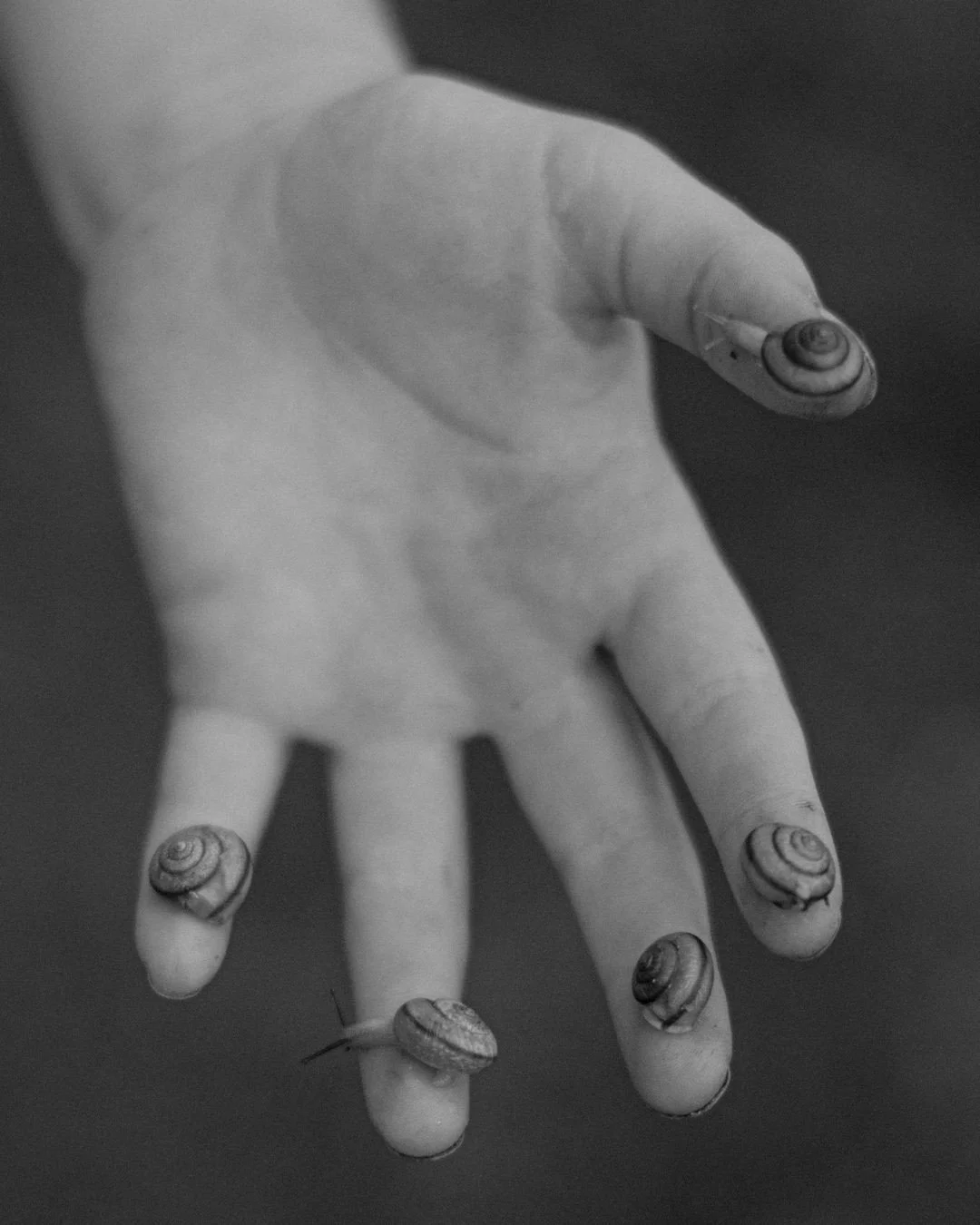 Interoception and Nature Connection