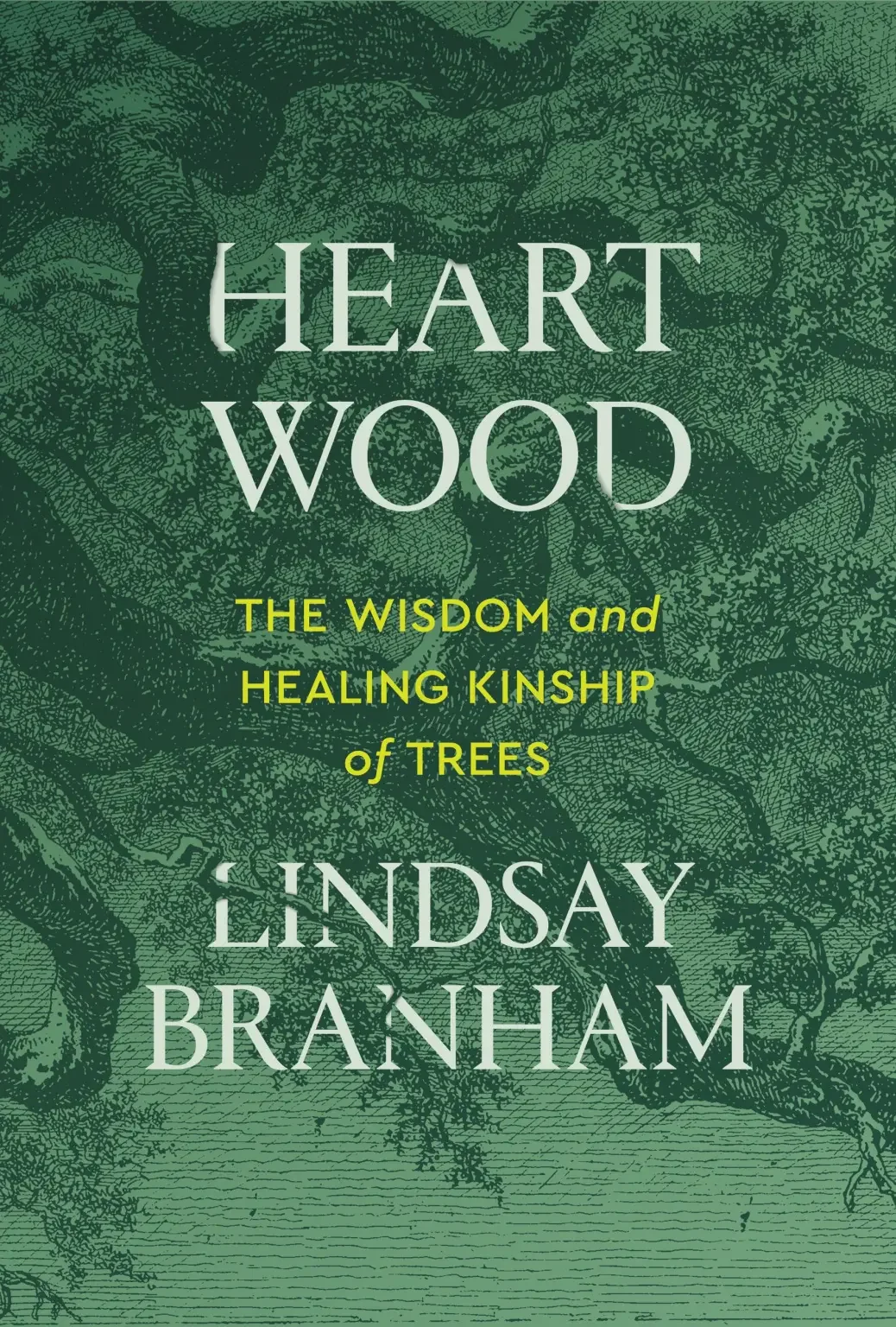 Book cover for 'Heart Wood' by Lindsay Braham, with a green background featuring a detailed illustration of a tree's roots and branches, and yellow and white text for the title and author's name.