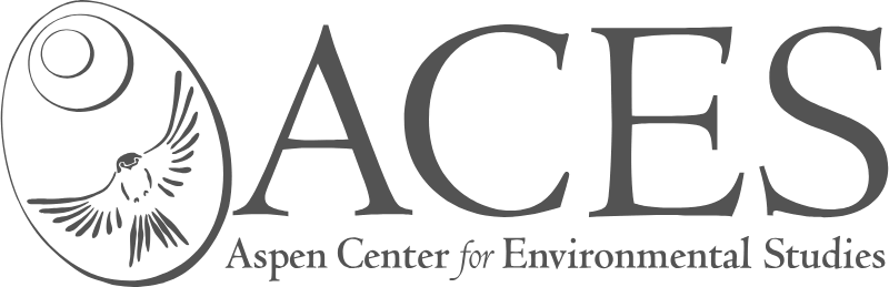 ACES LOGO.png