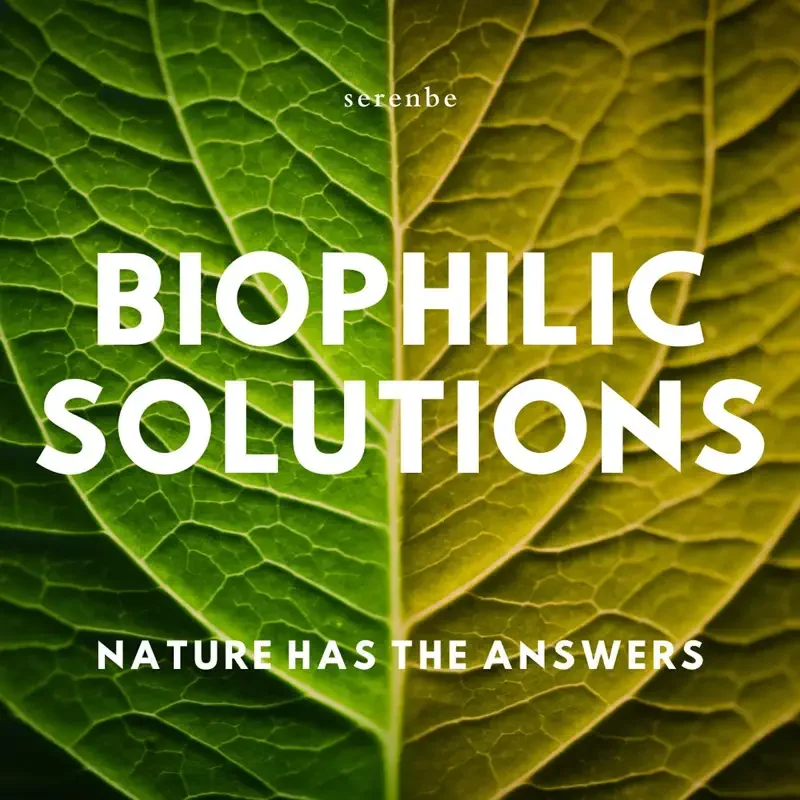 biophilic solutions.webp
