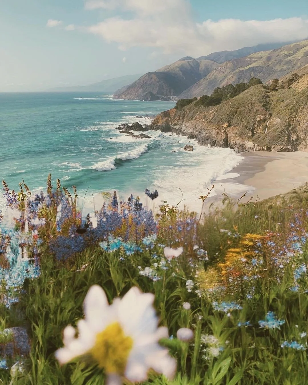 Coastal landscape with blue ocean waves crashing against rocky cliffs, a sandy beach, and colorful wildflowers in the foreground.
