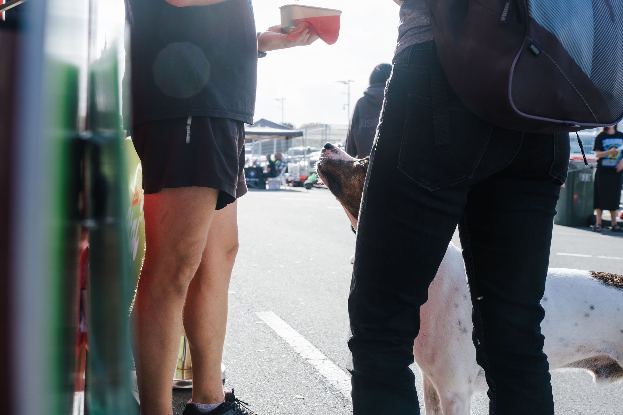 SouthseasVillageFest2026164952.jpg