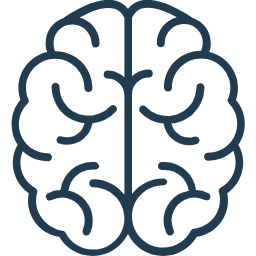 Illustration of a human brain outline