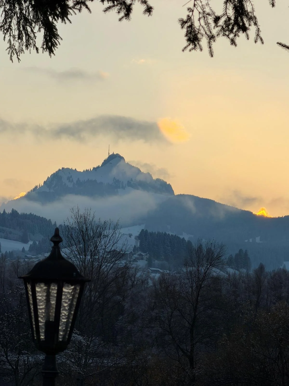 PHOTO-2025-11-18-16-46-07 (2).jpg