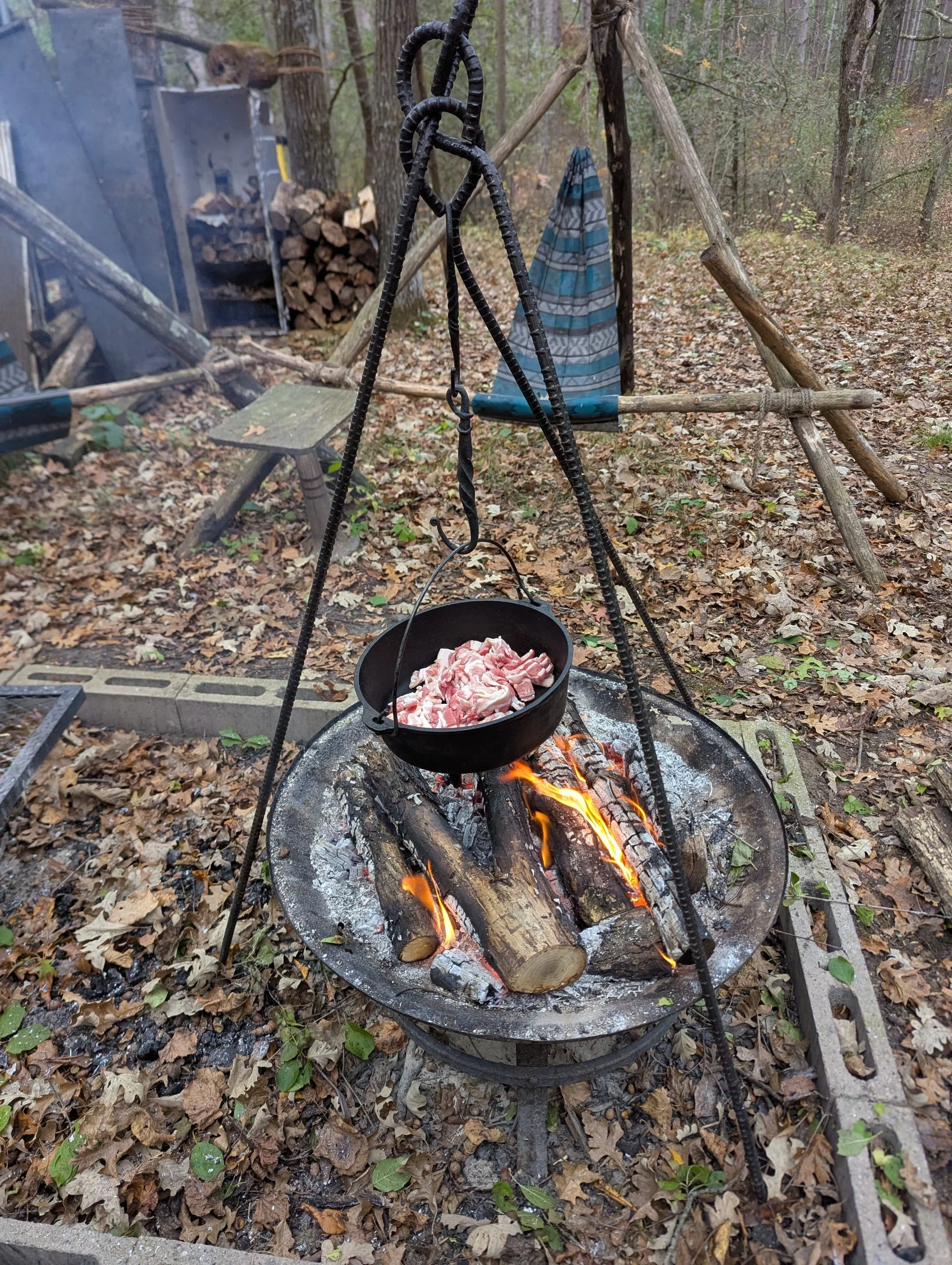 Tinder Collection and Processing