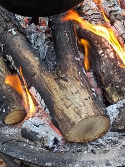 Beginner Fire Building Course