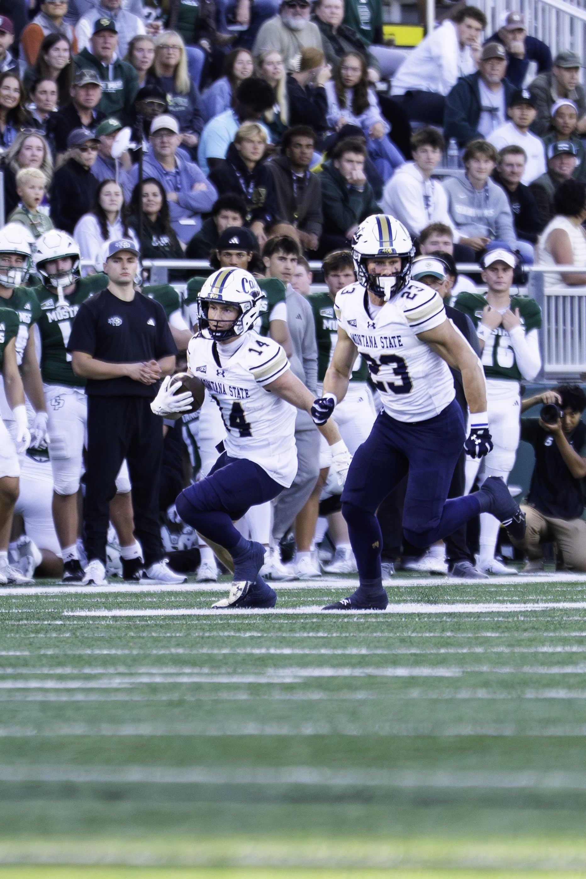 Two Montana State football players in white and navy uniforms are running on the field, with a crowd of spectators and teammates in the background.