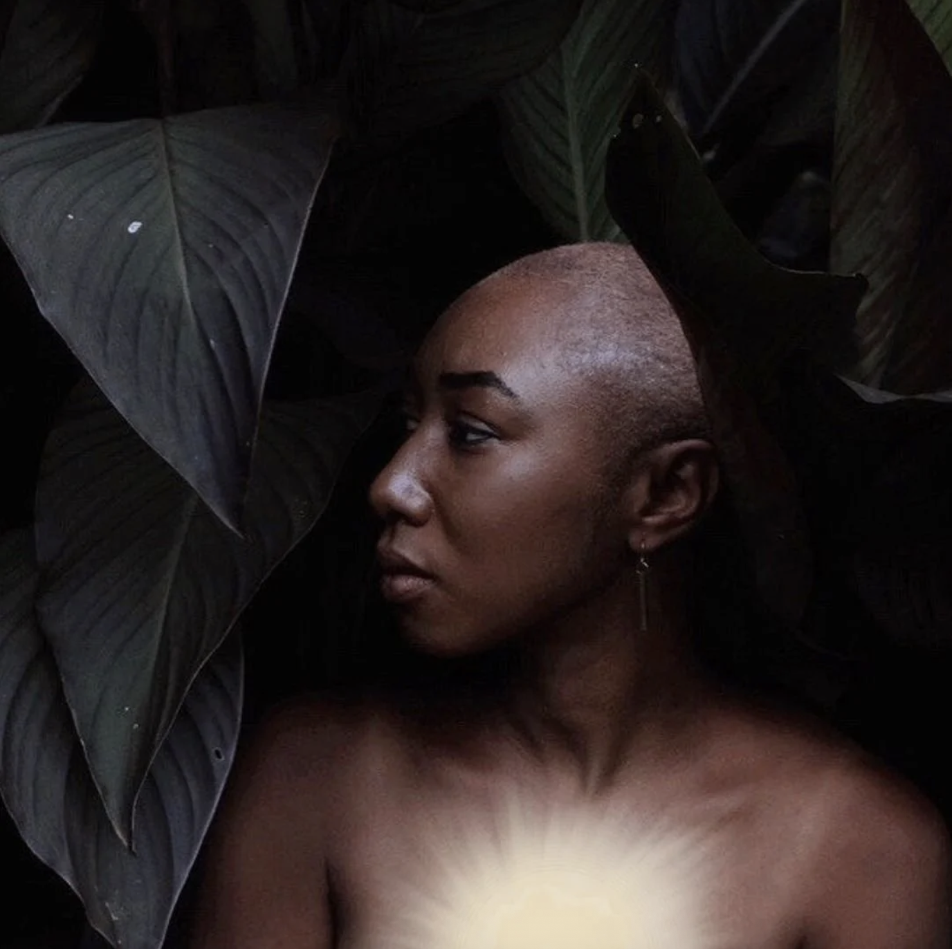 16 | Dajé Alōh | Essence is Forever: Descent to Soul, Creative Emergence, &amp; Visionary Liberation