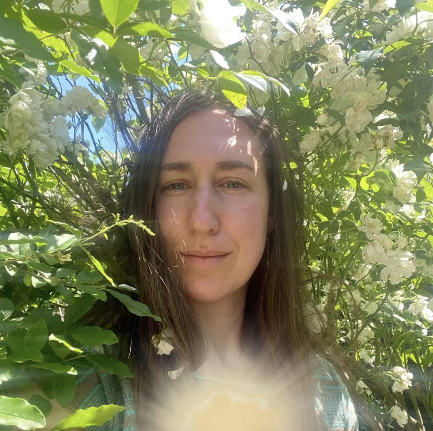 38 | Bodhi Shola | The Art of Being: Beauty, Animacy, and the Gift of Life