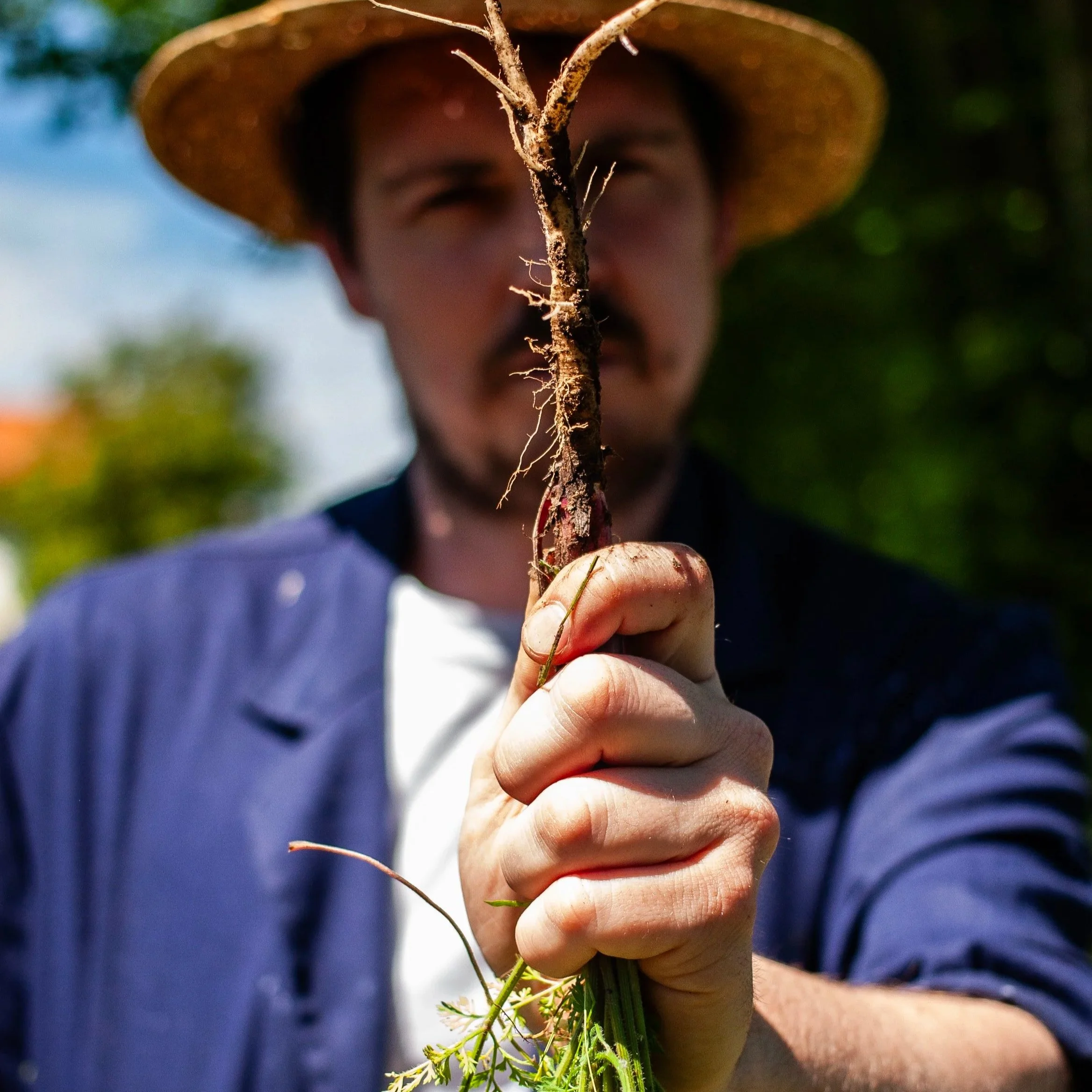 Persona sosteniendo una raíz de zanahoria en primer plano, usando sombrero y ropa casual, con fondo de árboles y cielo despejado. Contenido de redes sociales.