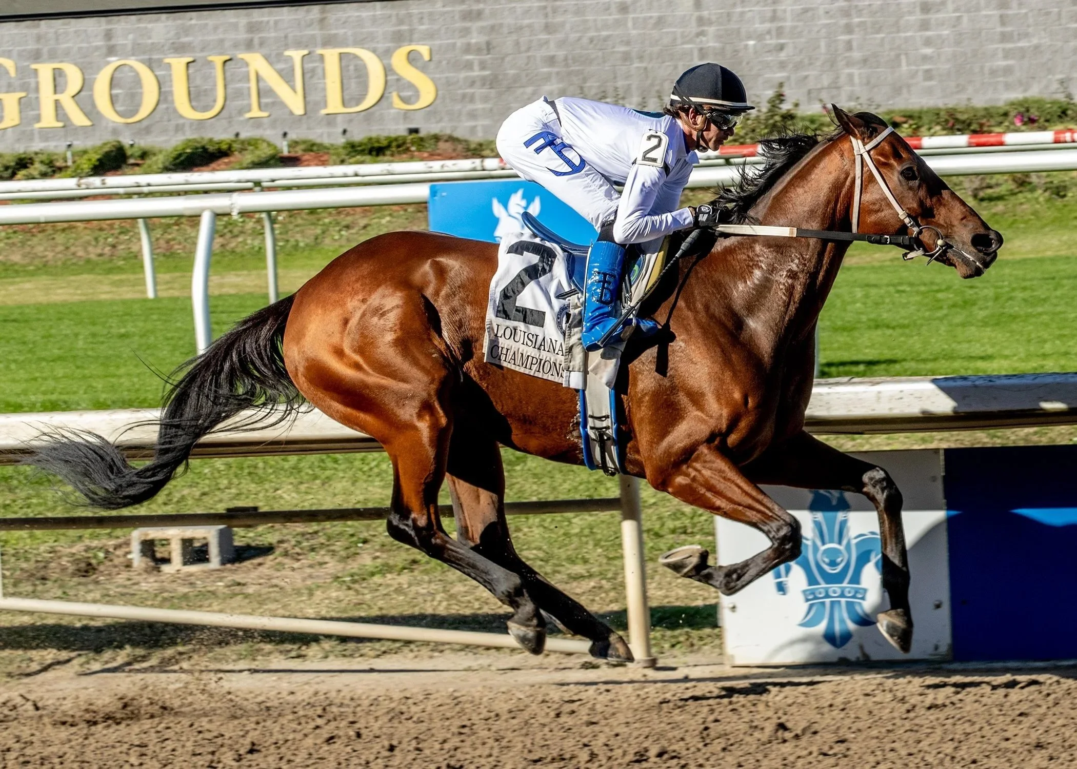 Louisiana Champions Day at The Fair Grounds 