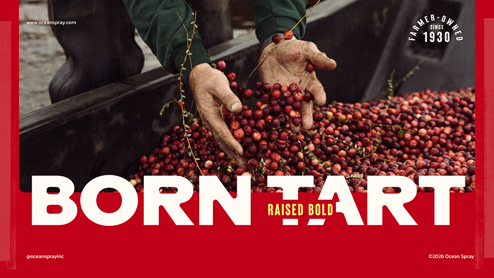 ocean deck-02 copy.png