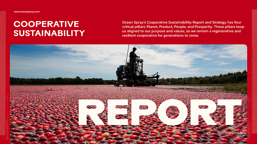 ocean deck-07 copy.png