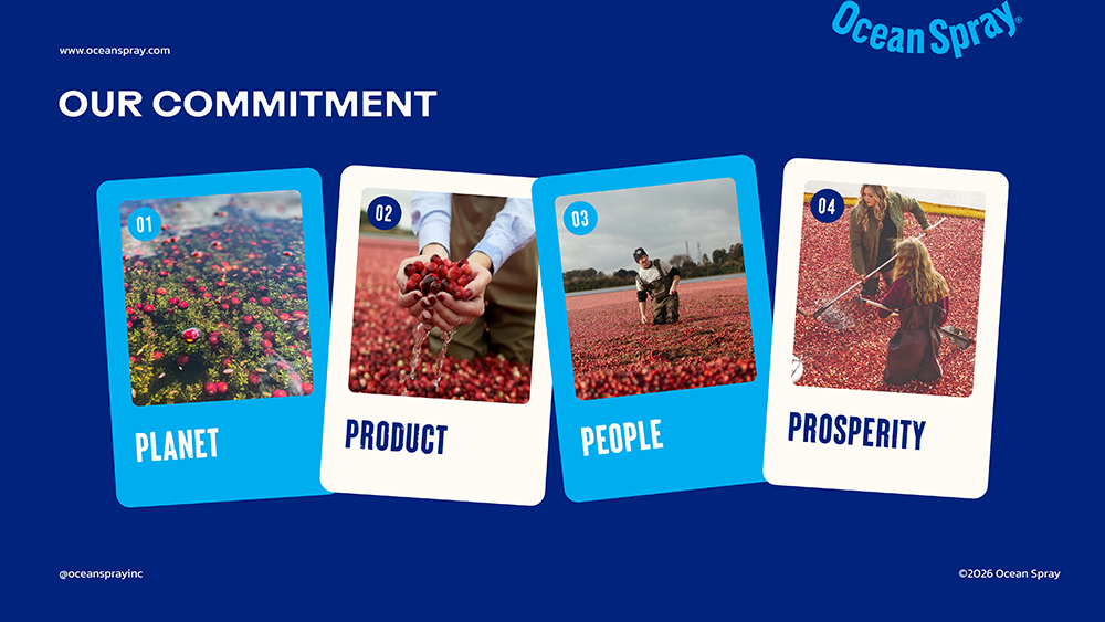 ocean deck-08 copy.png