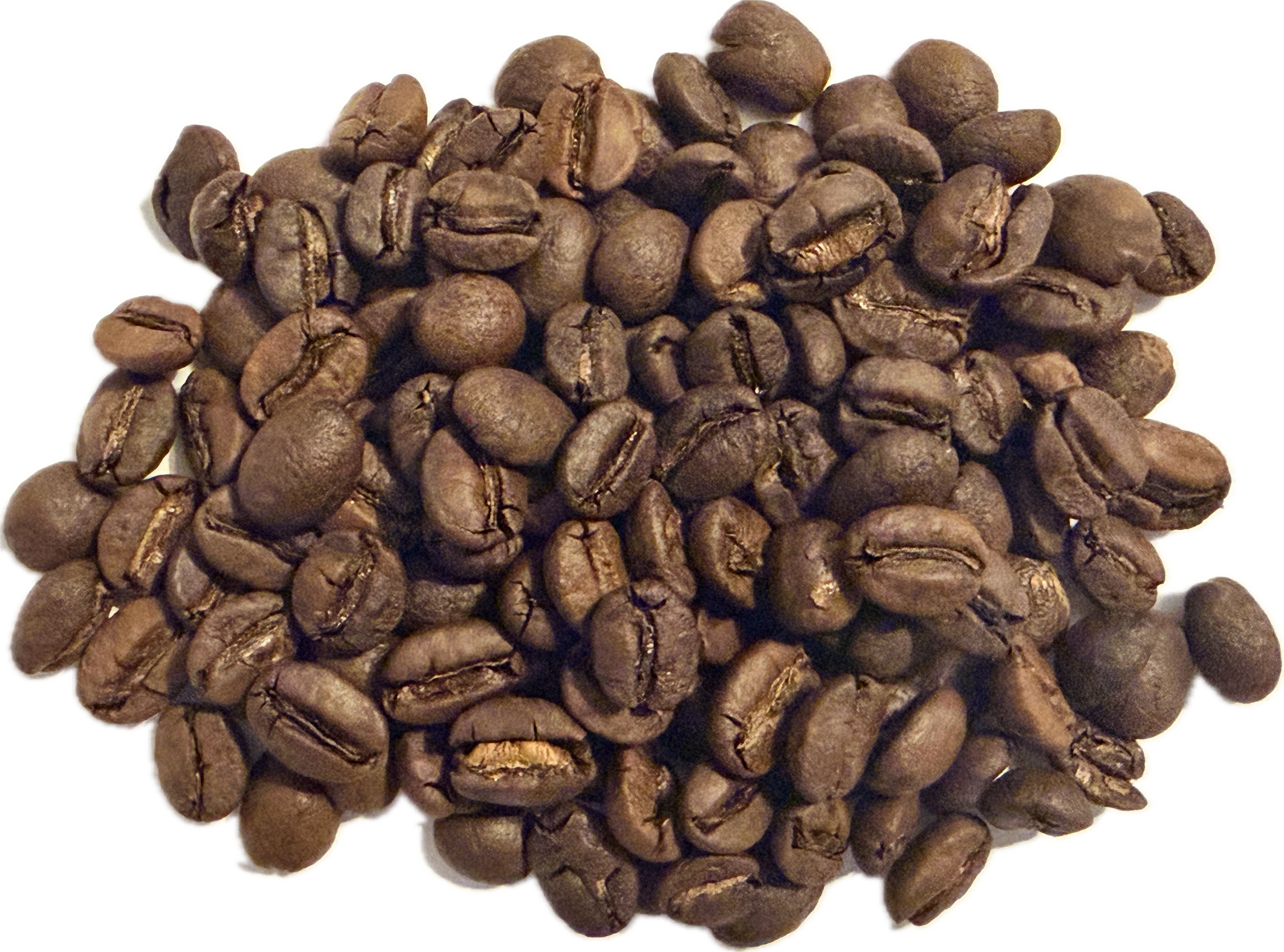 Yemen (Light:Med).png