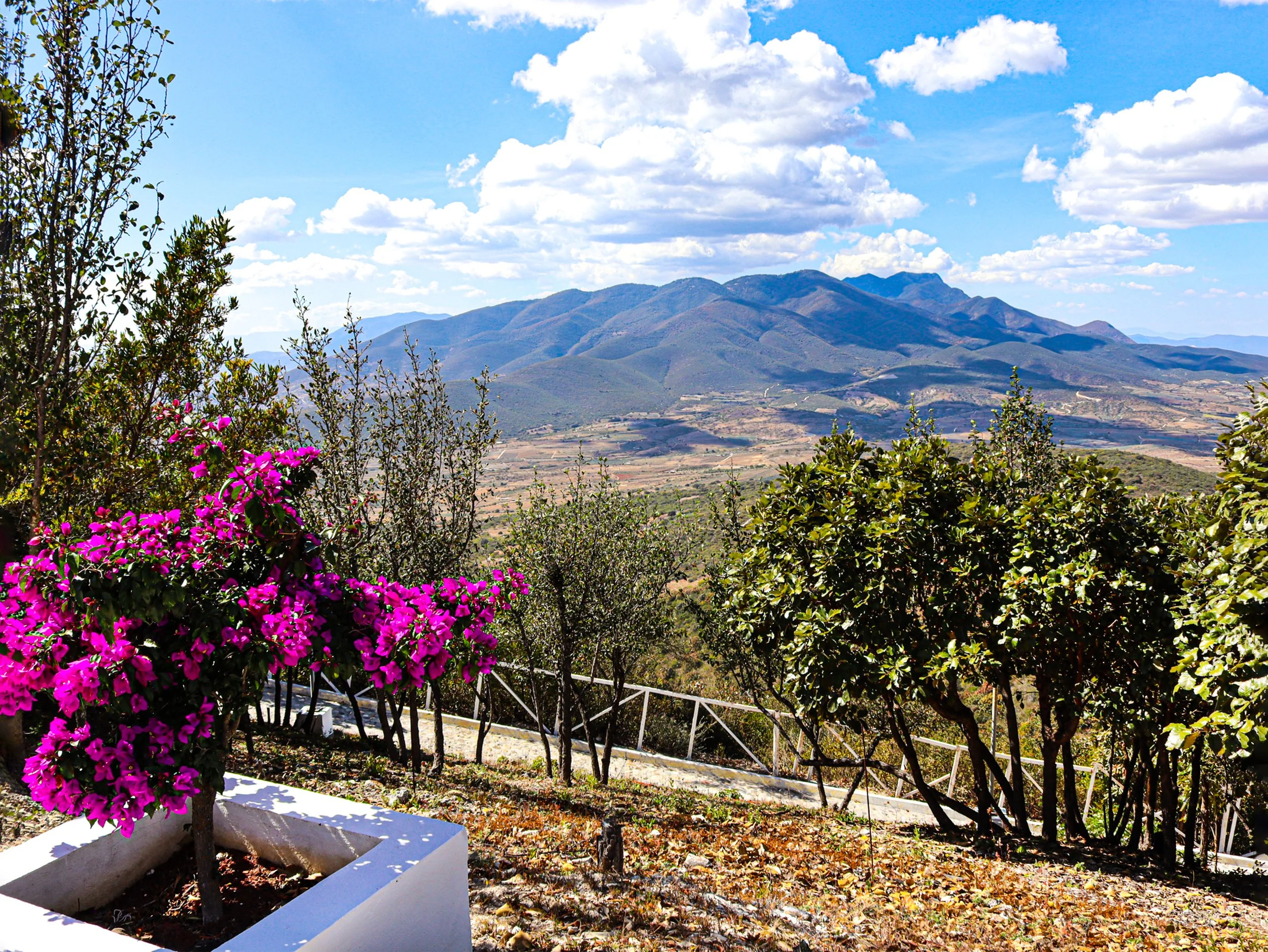 San Antonio Bed and Breakfast, Oaxaca, Mexico Catholic Retreat, Tours