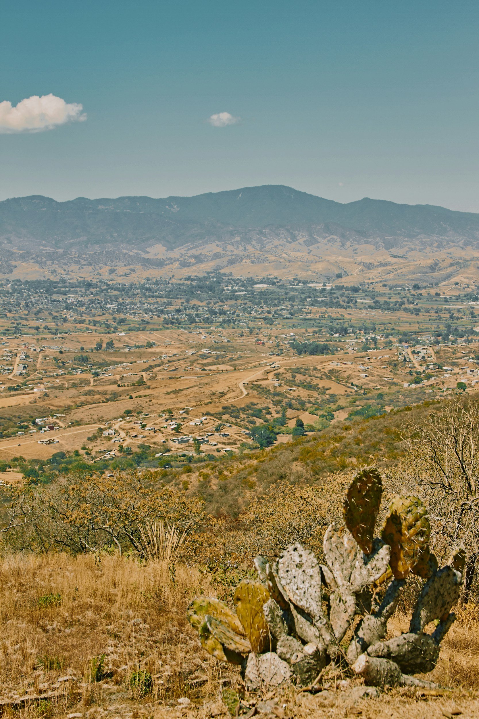 A desert landscape with a cactus in the foreground, rolling hills, and a city in the distance, with mountains under a blue sky with a few clouds.