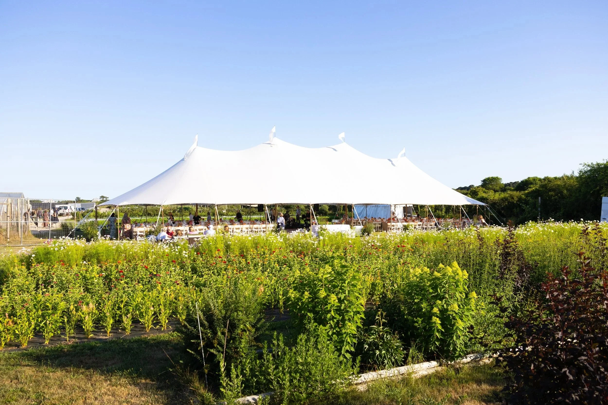 Celebrating Sustainable Nantucket