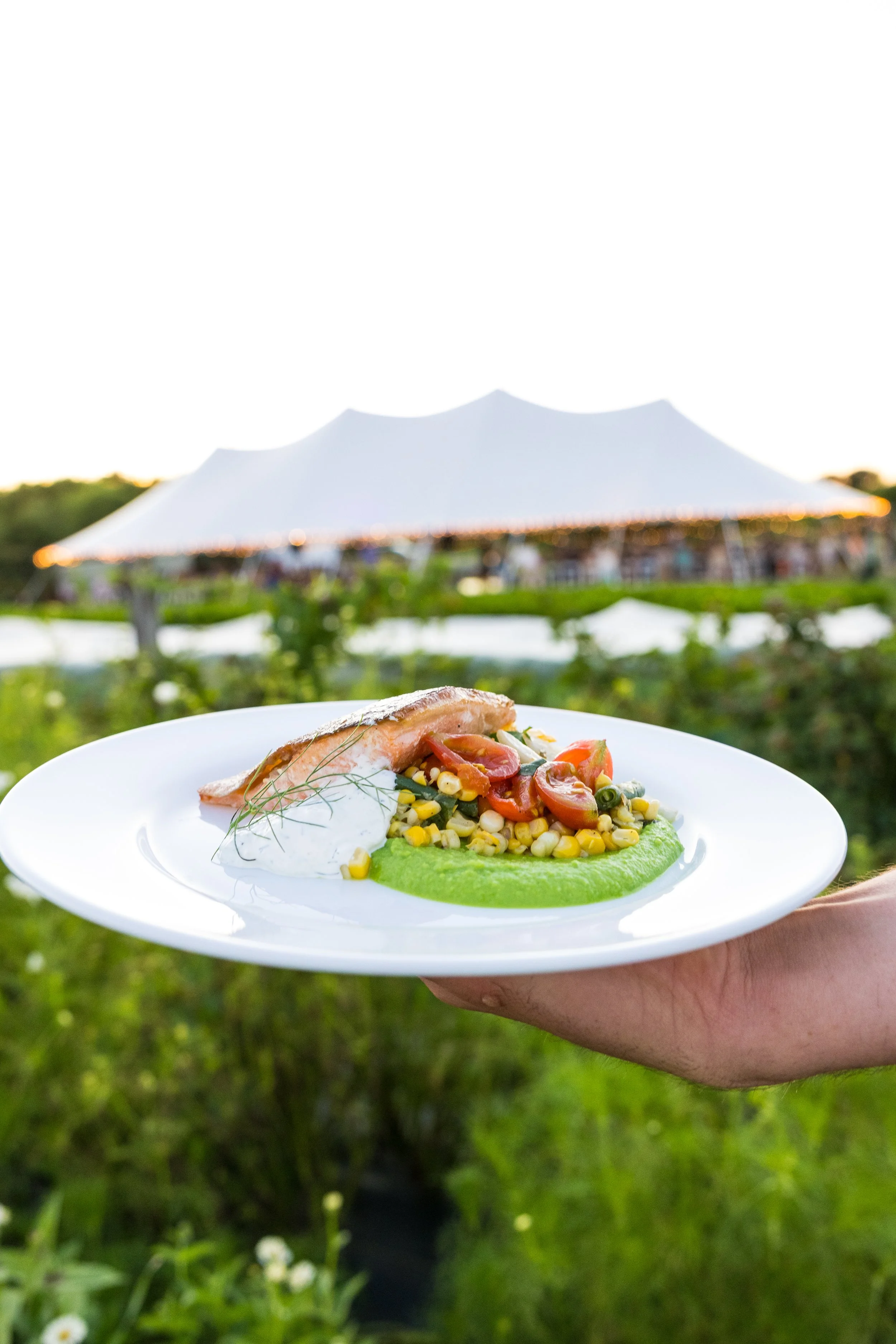 Farm Fresh Feast Recipes