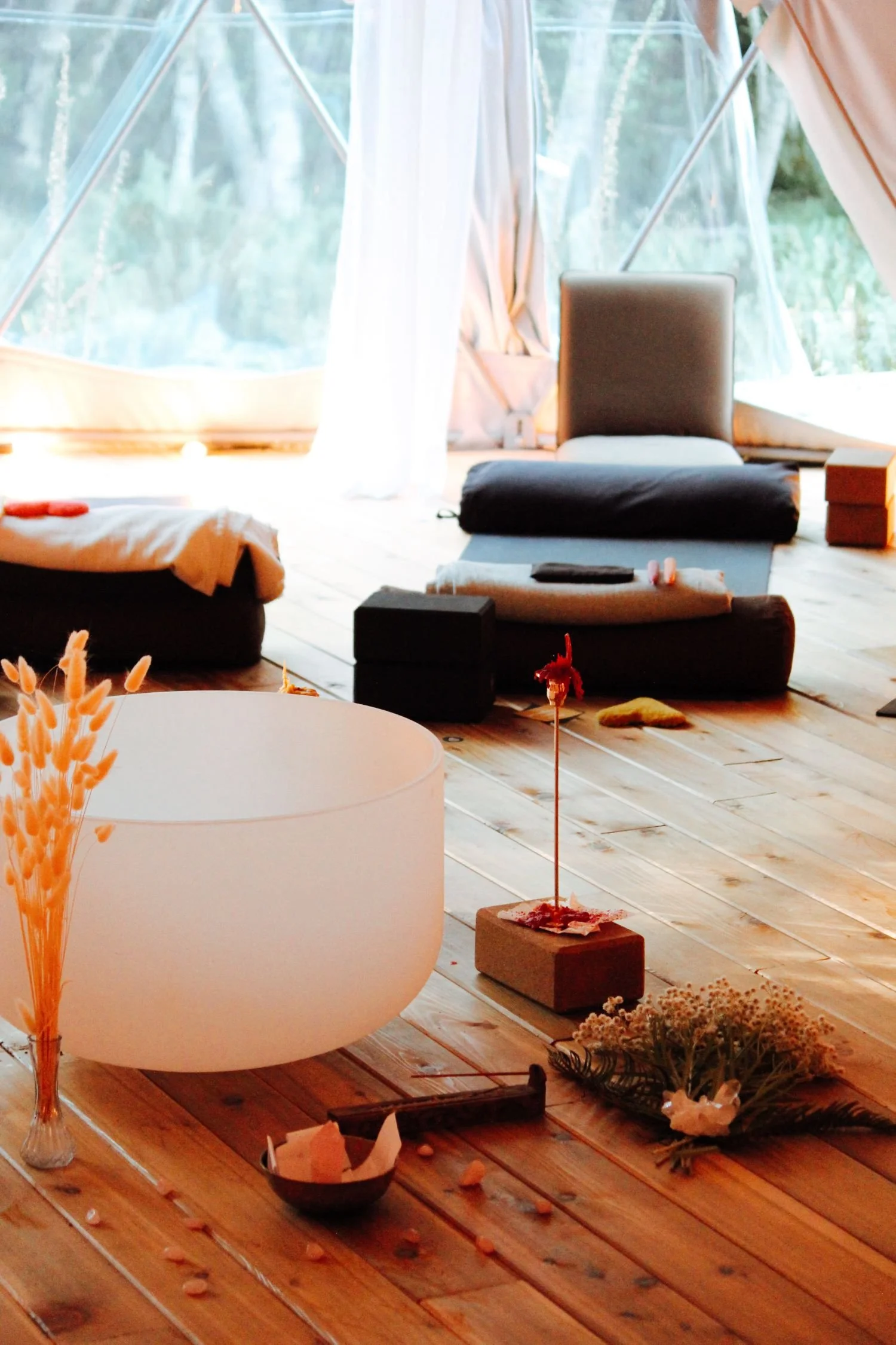 Nest Holistic Therapy Yoga British Columbia Nectar 2023-41.jpeg