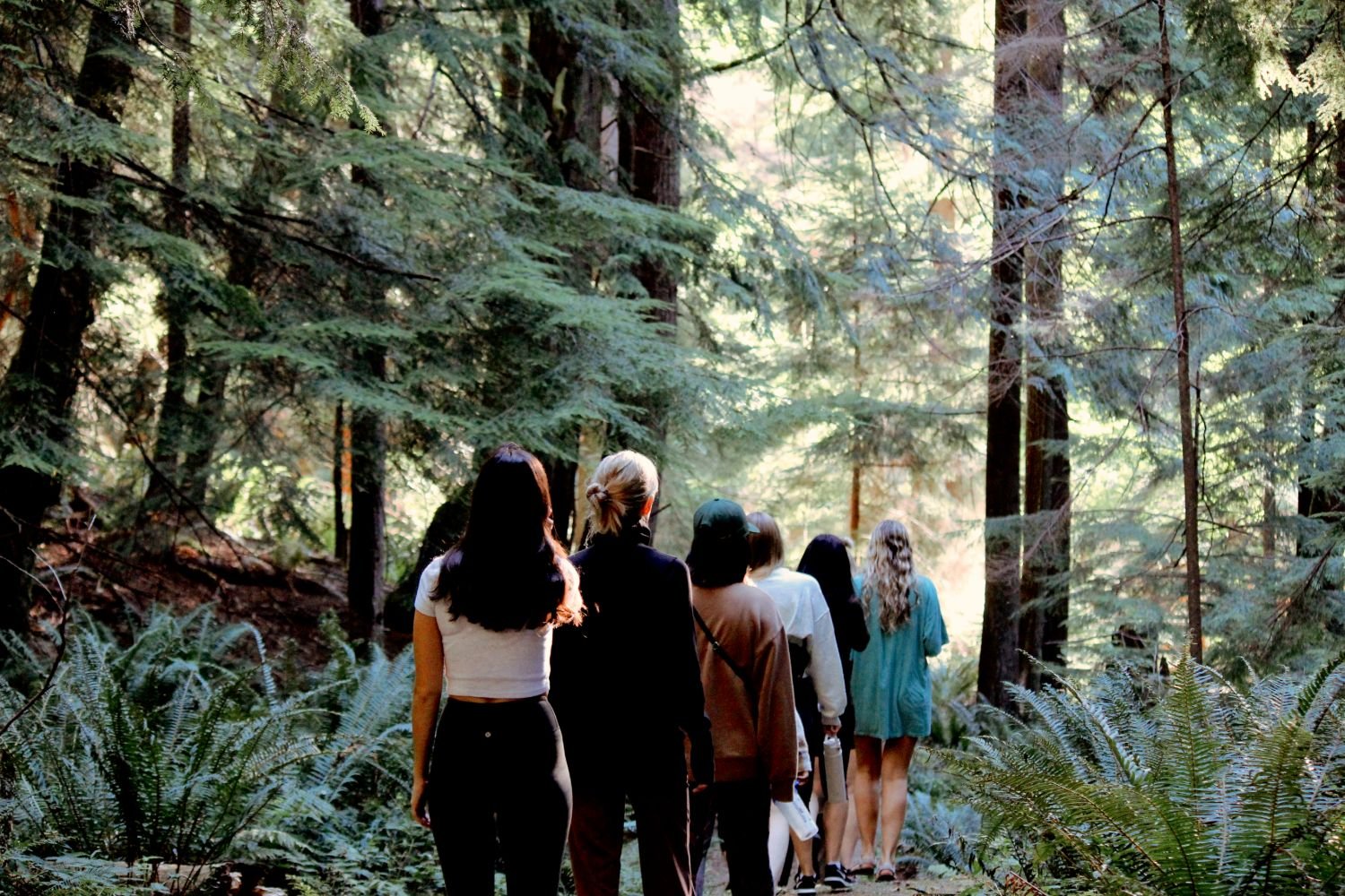 Nest Holistic Therapy Yoga British Columbia Nectar 2023-40.jpeg