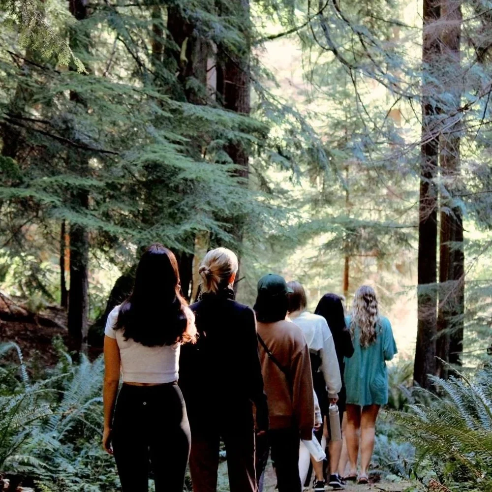 Group of people walking through a forest with tall trees and lush greenery.