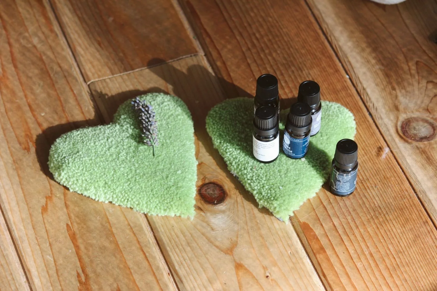 Nest Holistic Therapy Yoga British Columbia Nectar 2023-46.jpeg