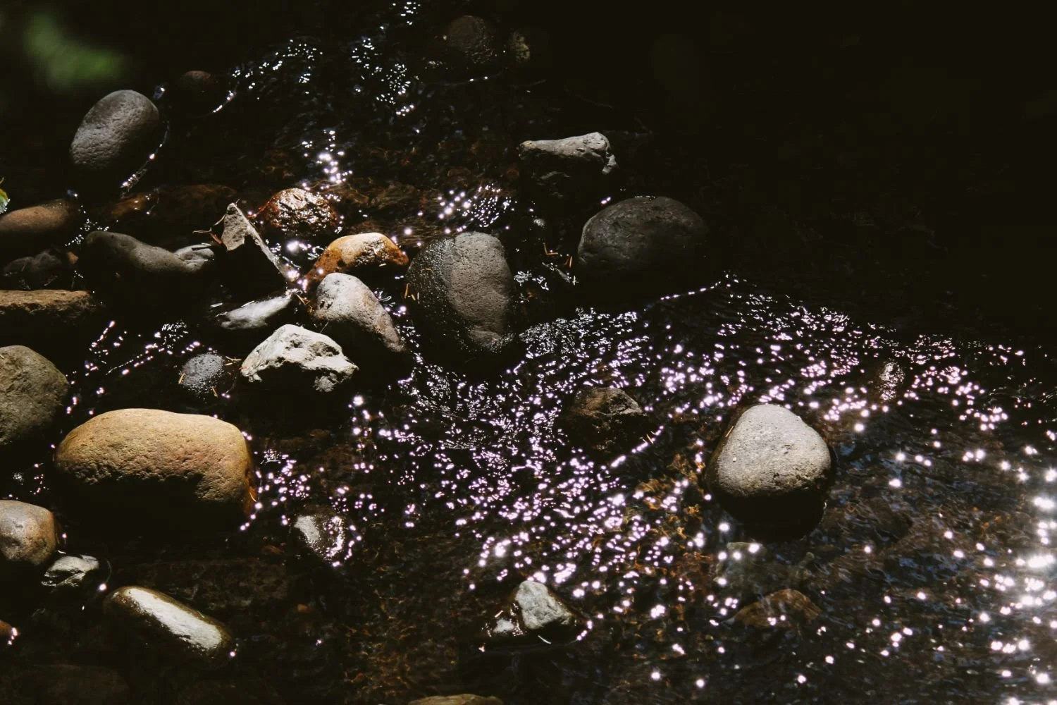 Sunlight reflecting off rocks and pebbles in a shallow stream of water.