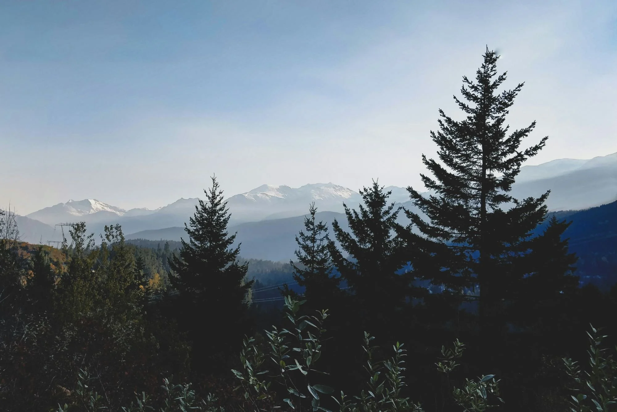 A scenic mountain landscape with snow-capped peaks, dense evergreen trees in the foreground, and a clear blue sky.