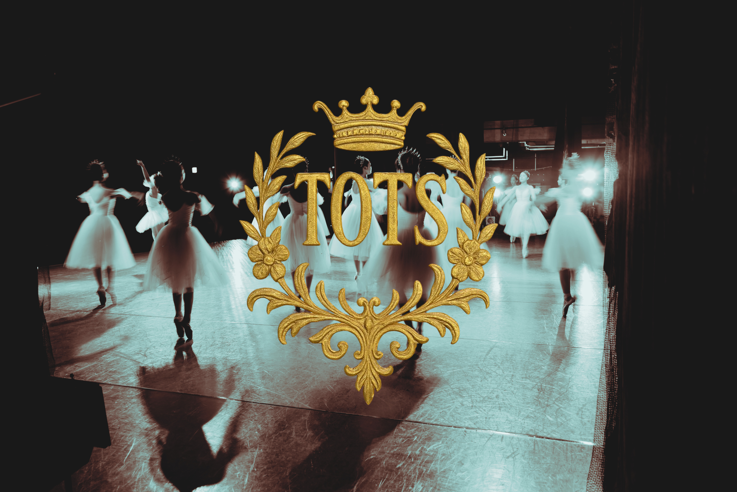 A Study in Ballet: Discipline, Elegance, and Movement