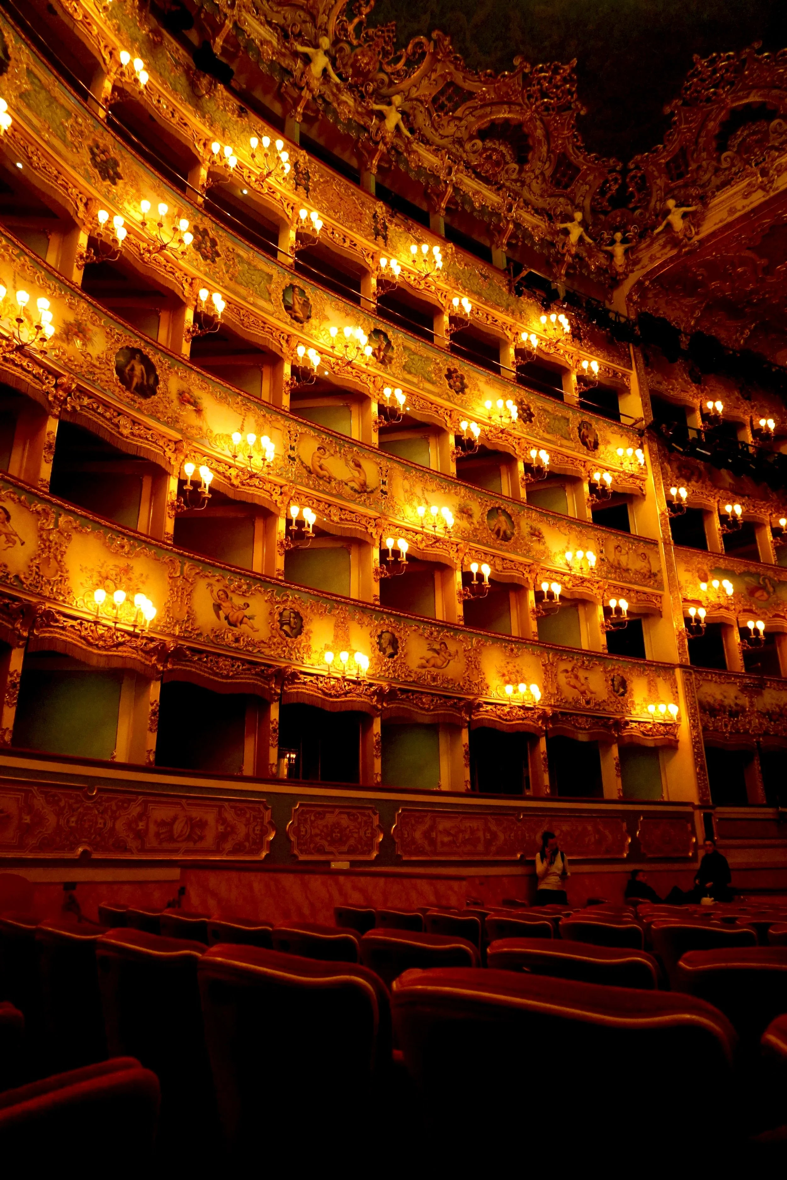 Where The Voice Becomes The Language