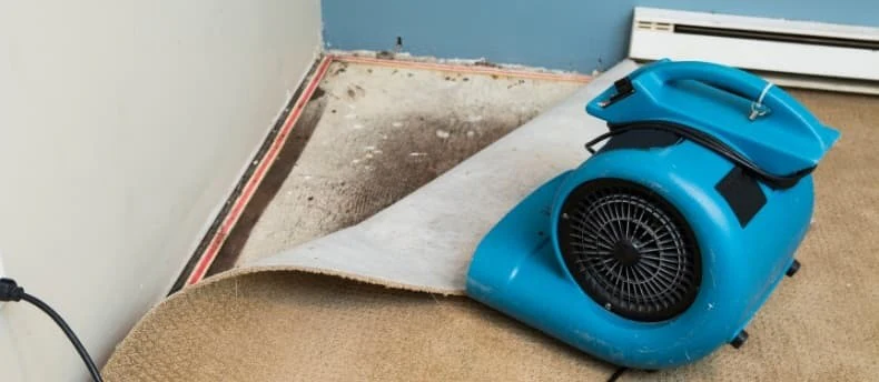 A blue portable heater placed on a beige carpet, with part of the carpet lifted, revealing underlayment and subfloor in a room under renovation.
