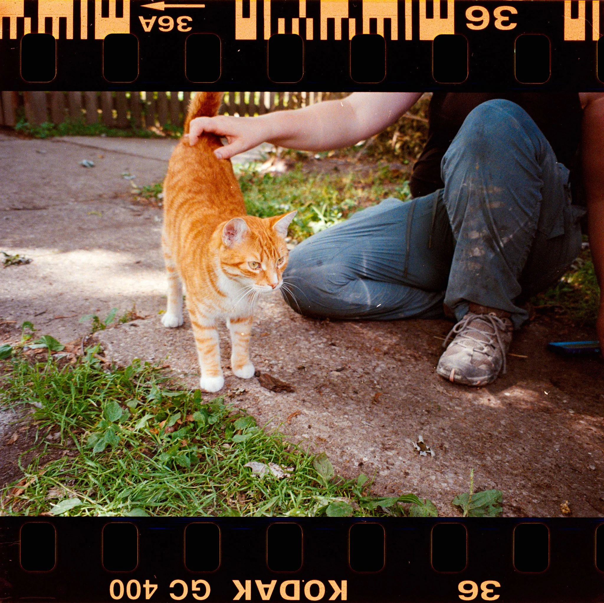 DSC_5877.jpg