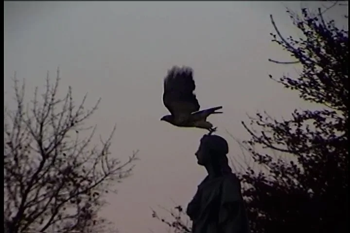 Sequence 02.02_32_55_47.Still009.jpg