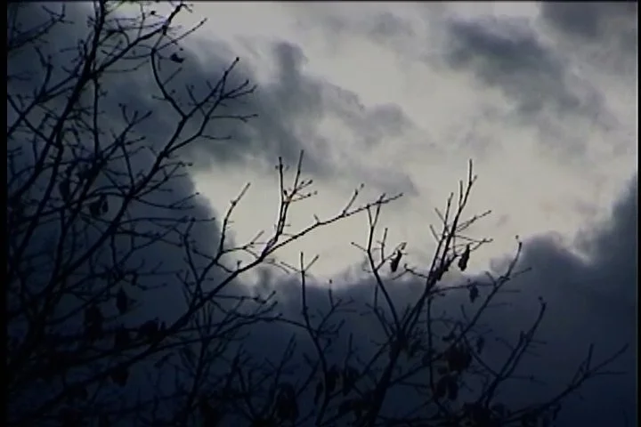 Sequence 02.00_35_29_14.Still017.jpg