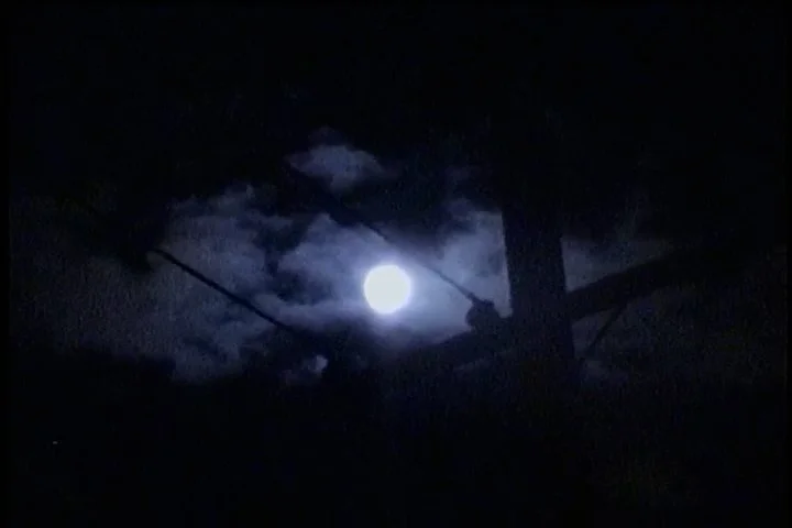 Sequence 01.00_00_47_11.Still004.jpg