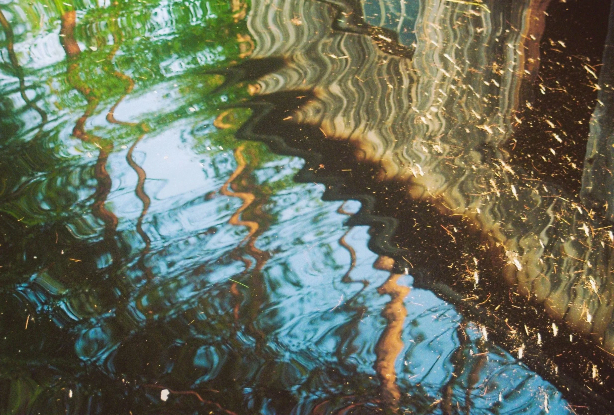 Camp Days (2021 - 2025)