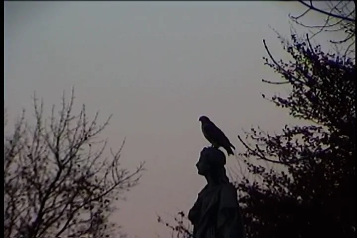 Sequence 02.02_32_54_59.Still008.jpg