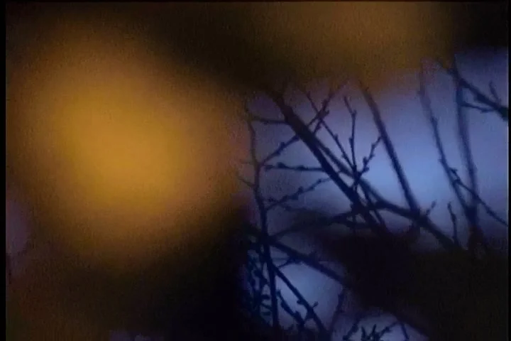 Sequence 02.00_35_36_20.Still014.jpg