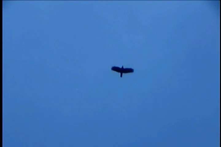 Sequence 02.00_36_43_15.Still013.jpg