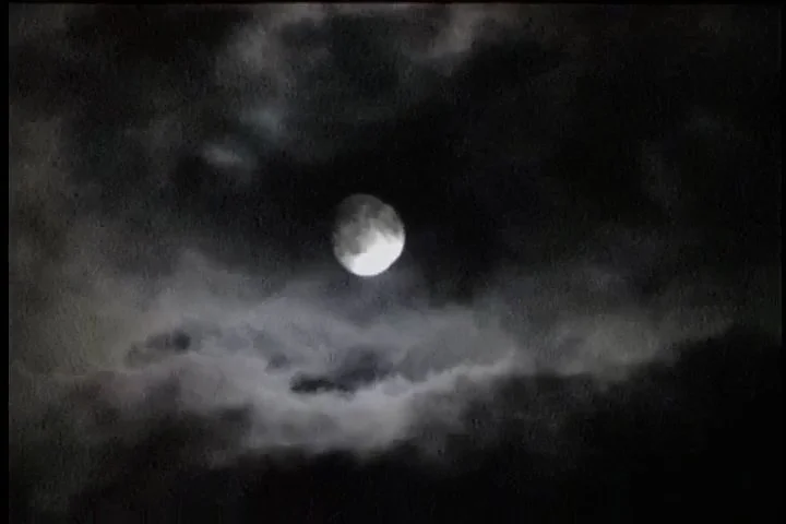 Sequence 02.00_36_27_58.Still001.jpg