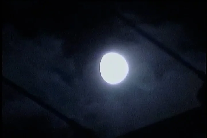 Sequence 01.00_00_53_00.Still005.jpg