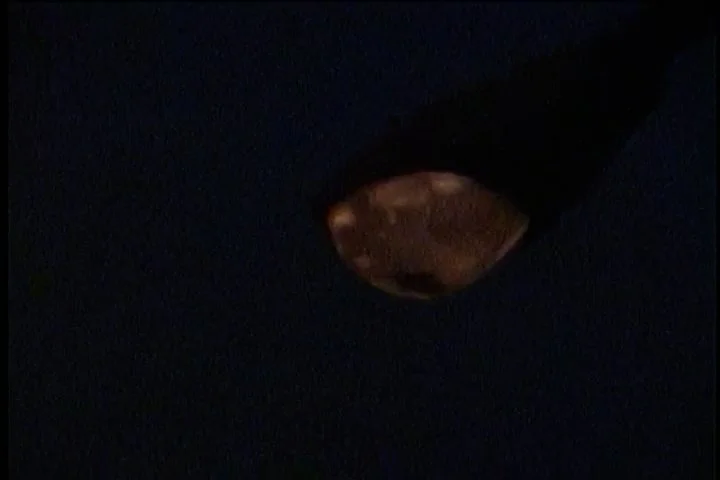 Sequence 02.00_36_32_49.Still006.jpg