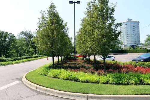 A landscaped roundabout with trees, grass, and red foliage, adjacent to a parking lot with cars and a tall building in the background.
