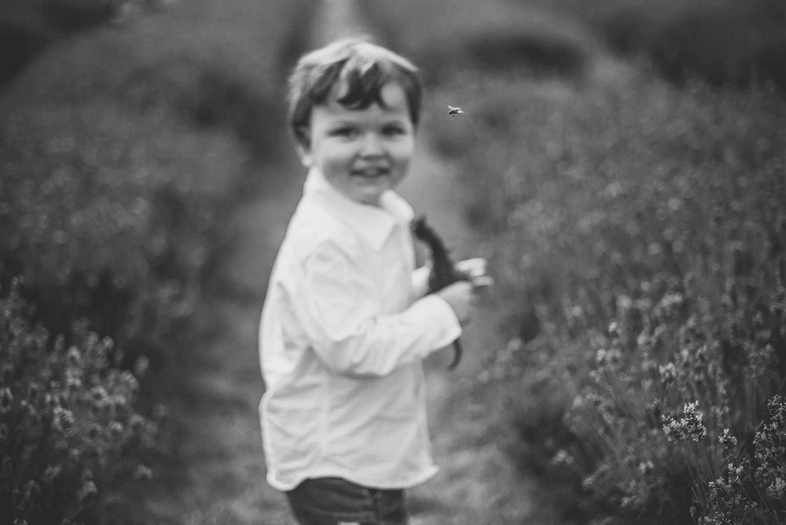 A young boy with dark hair and a white shirt standing outdoors in a field of flowers, holding an object, with a small bee flying nearby, in black and white.