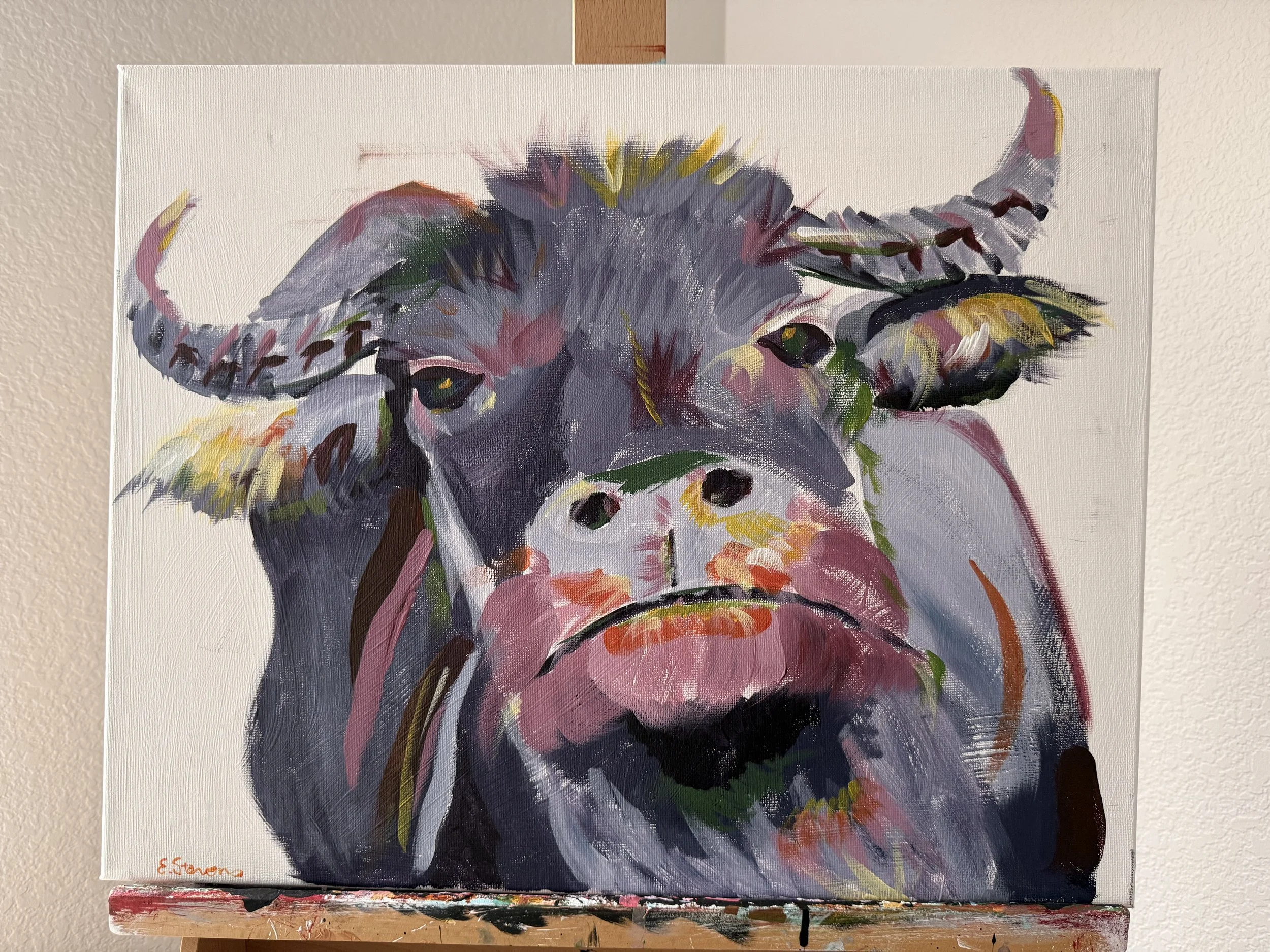 Highland Bound
Acrylic
16x20